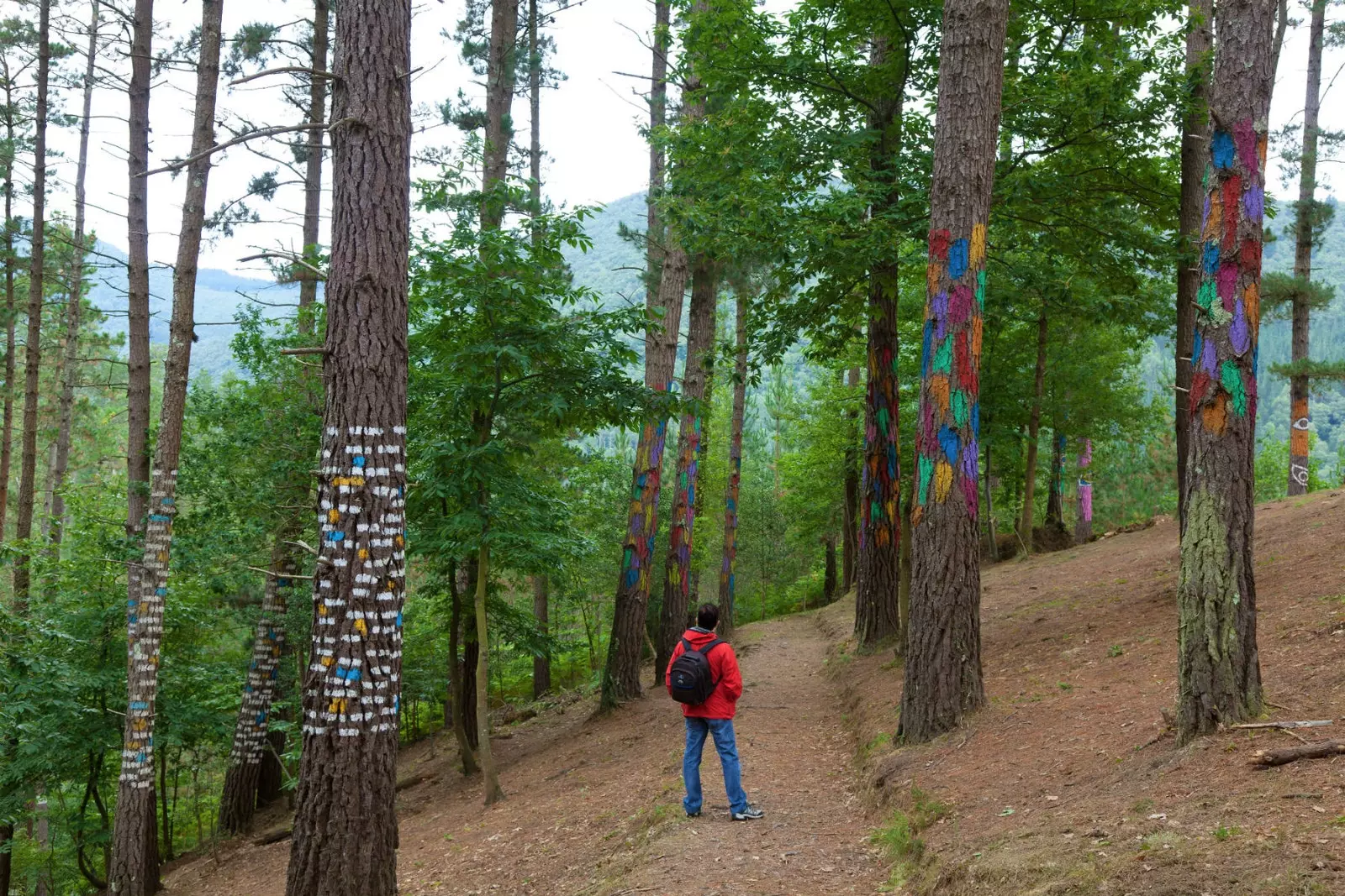 Urdaibai Biscay Biosphere Reserve