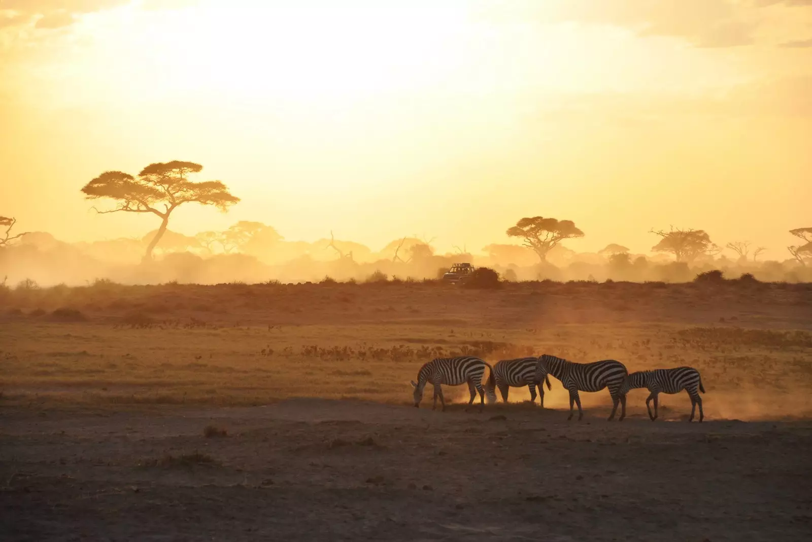 Amboseli ազգային պարկ Քենիա