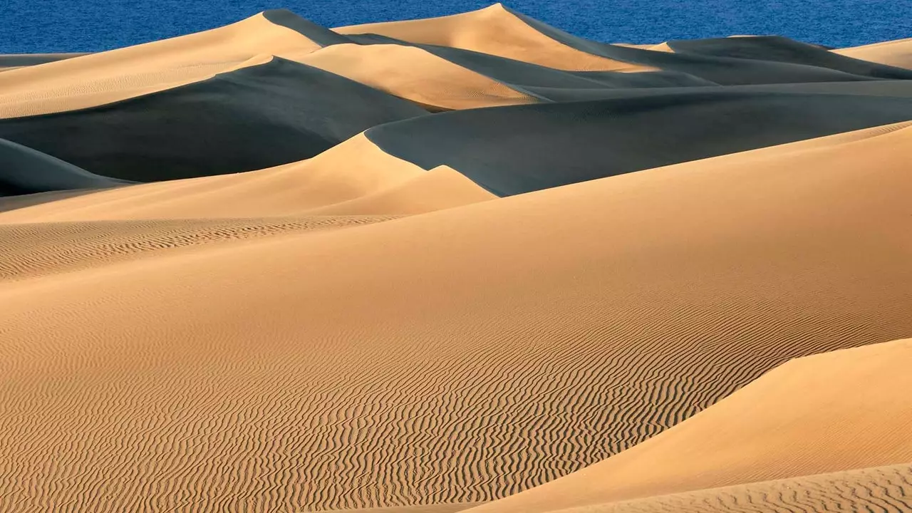 Die Dünen von Maspalomas erstrahlen wieder in neuem Glanz: So schön haben sie in den letzten 50 Jahren nicht ausgesehen!