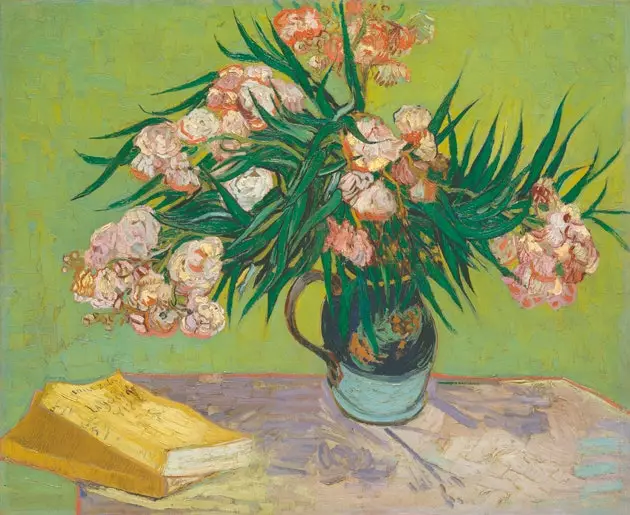 oleander