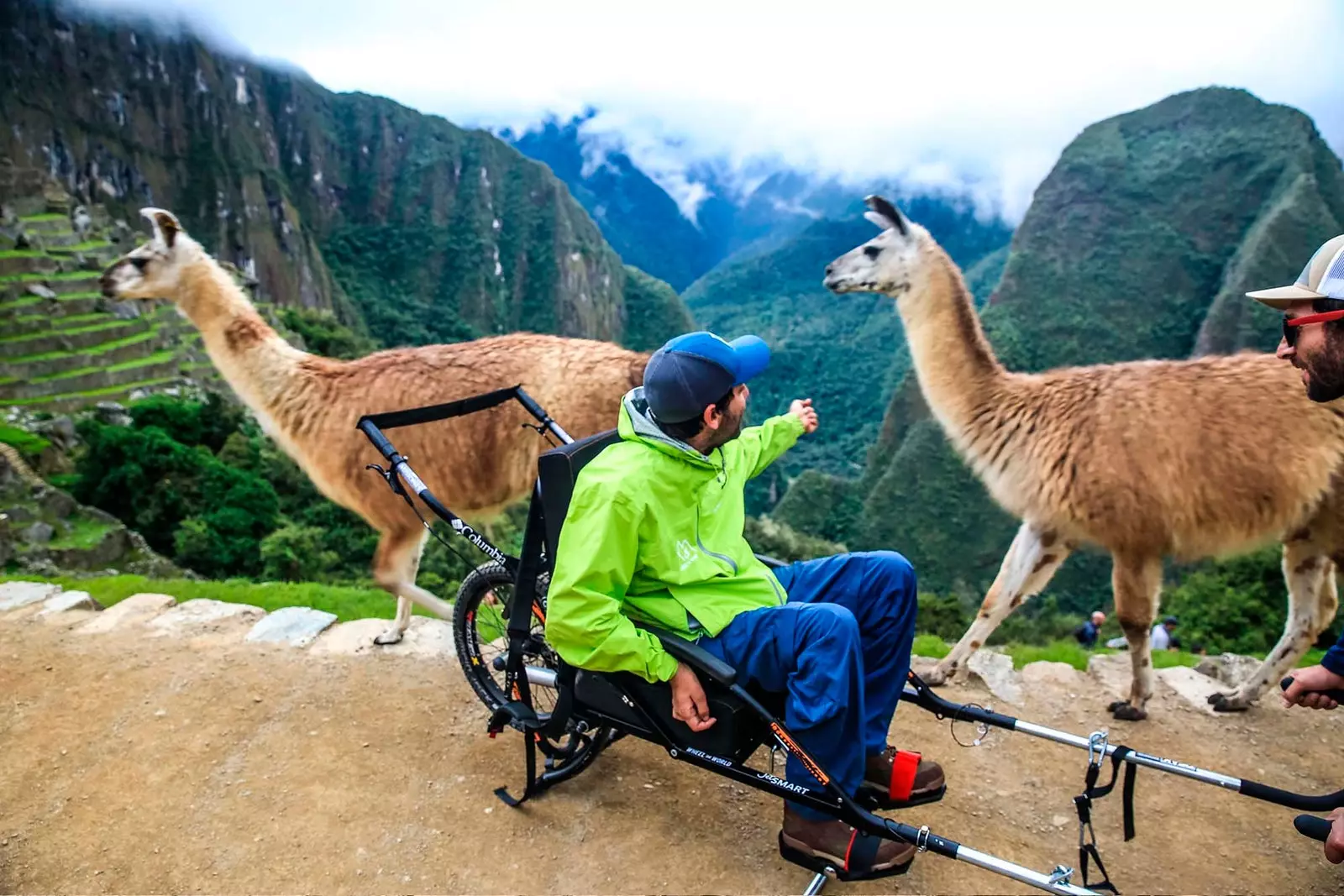 Beannaíonn Álvaro Silbertein roinnt llamas i Machu Picchu óna chathaoir rothaí.