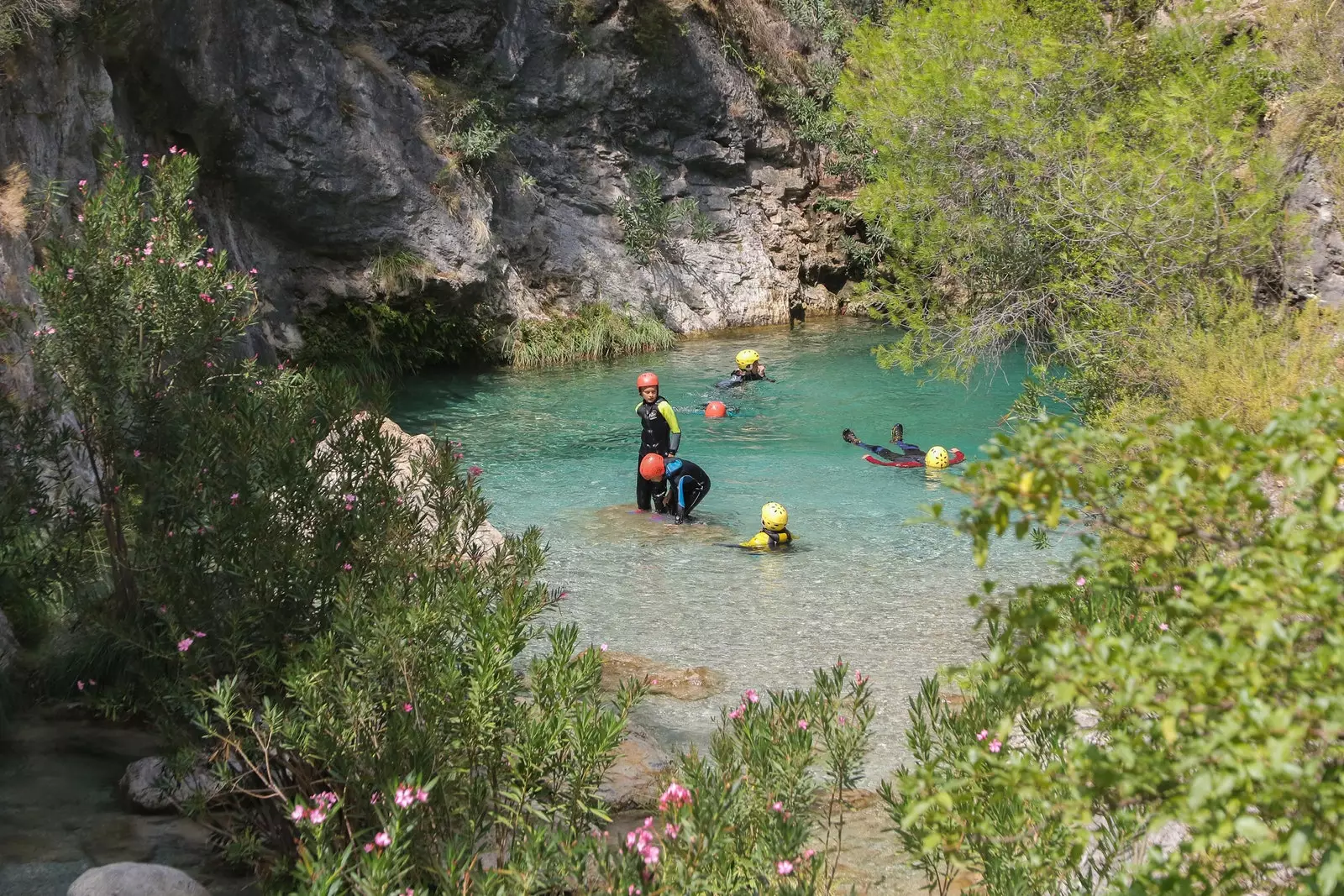 Grüner Fluss