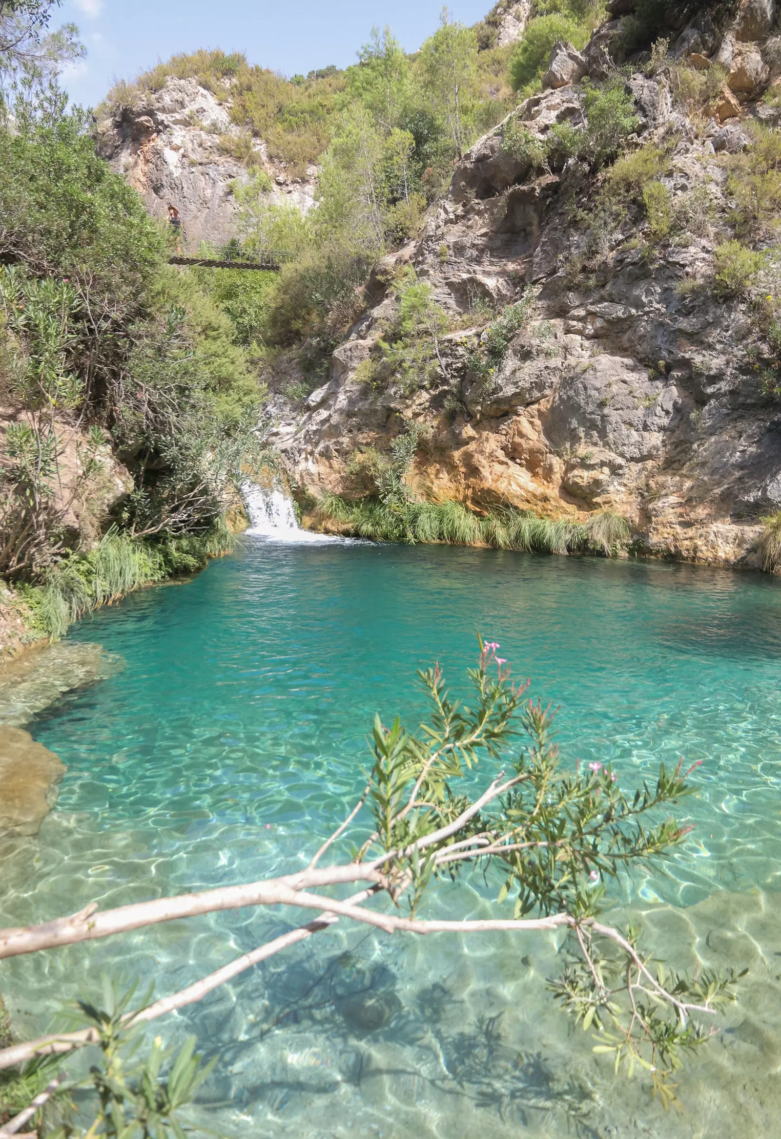 Grüner Fluss