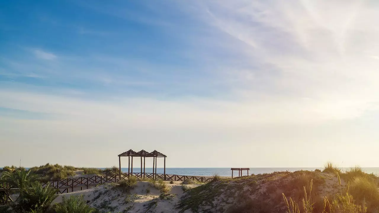 El Palmar: Andalusiyadagi eng yovvoyi plyajda bemaqsad va yaxshi tebranish