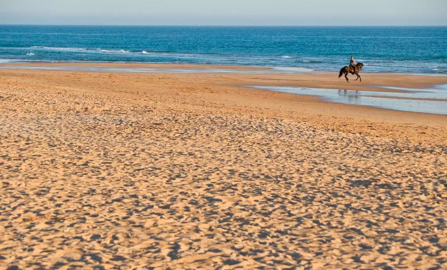 El Palmar beach with horse and rider