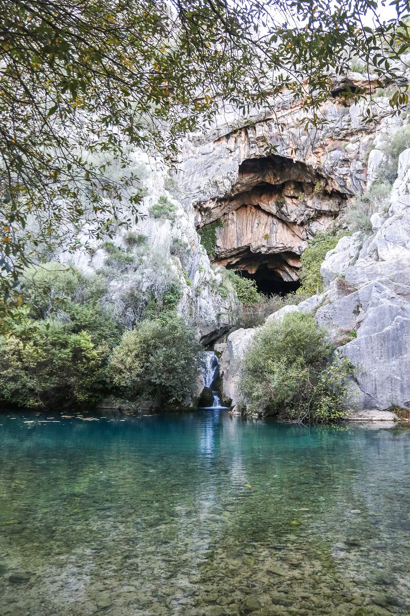 Grotta del gatto della piscina fredda