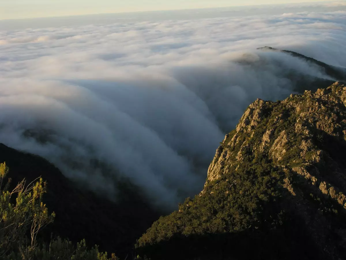 Panoramic view of the network of trails on the island