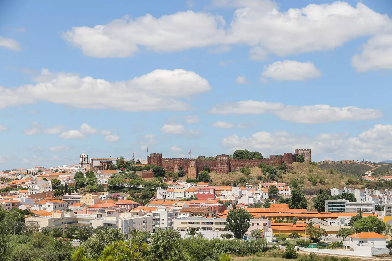 silves