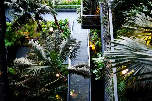 Hotels with vertical gardens