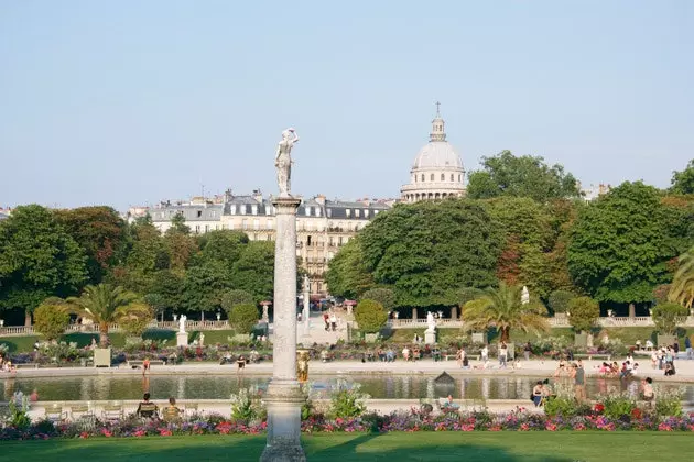 De Jardin du Luxembourg de lommerrijke kastanjebomen van Parijs