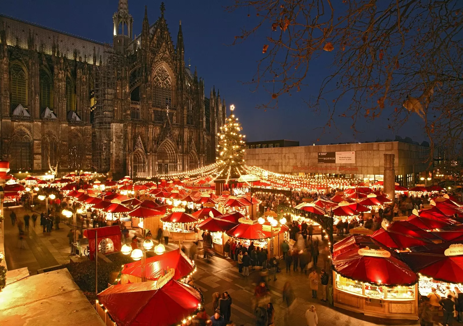 Cathedral Christmas Market