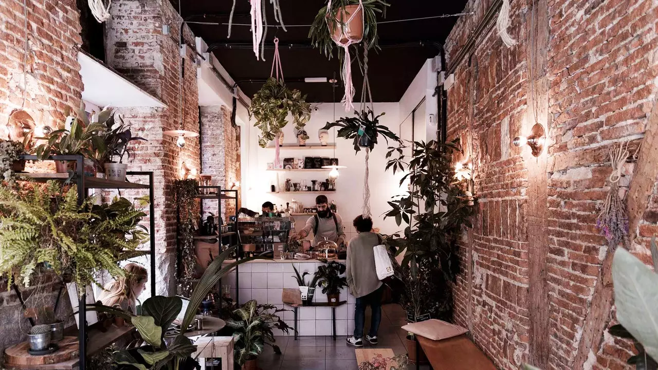 Plantate Café: специално кафе в Lavapiés