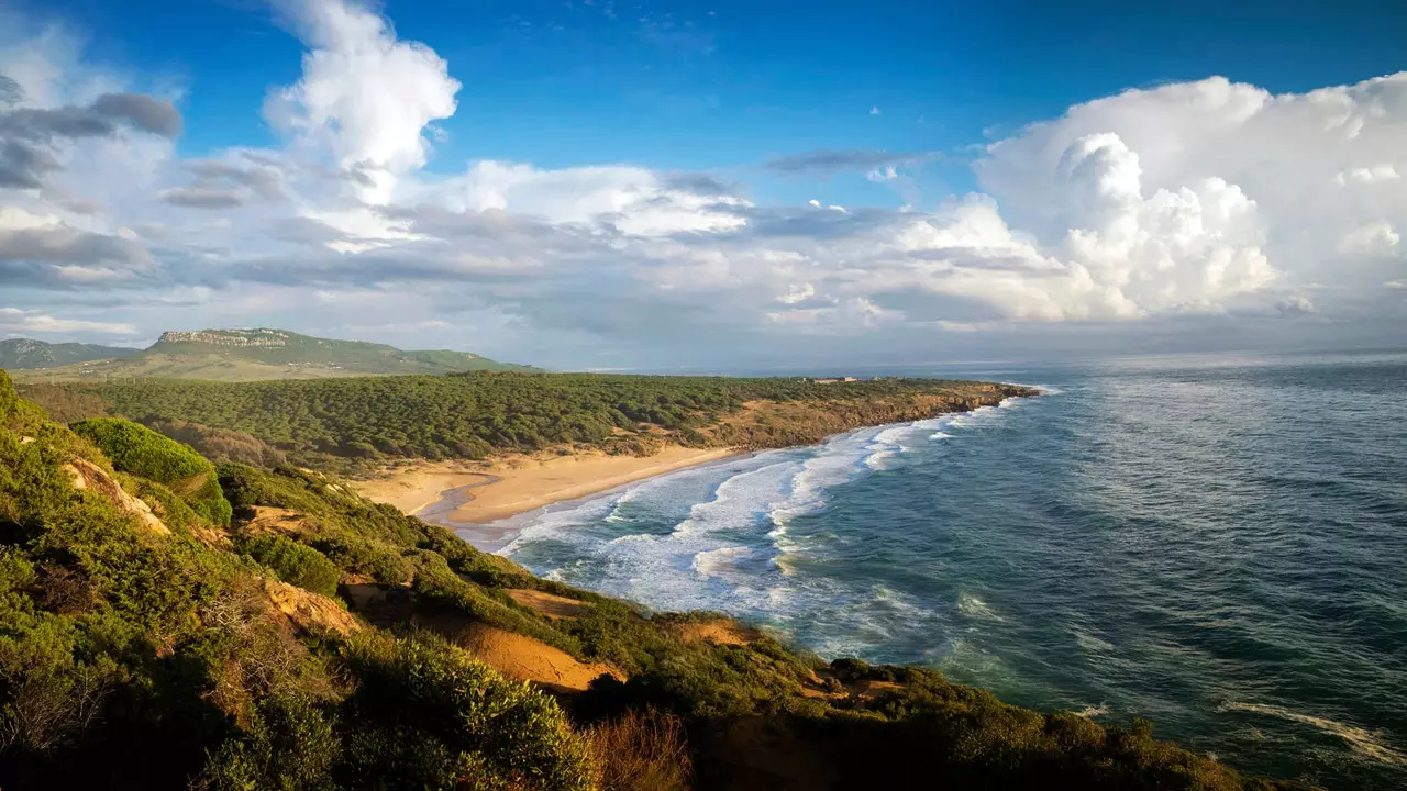 မင်းဘယ်လိုခံစားရလဲ ပြောပြပါ၊ Cádiz မှာရှိတဲ့ ဘယ်ကမ်းခြေကို သွားသင့်လဲ ပြောပြမယ်။