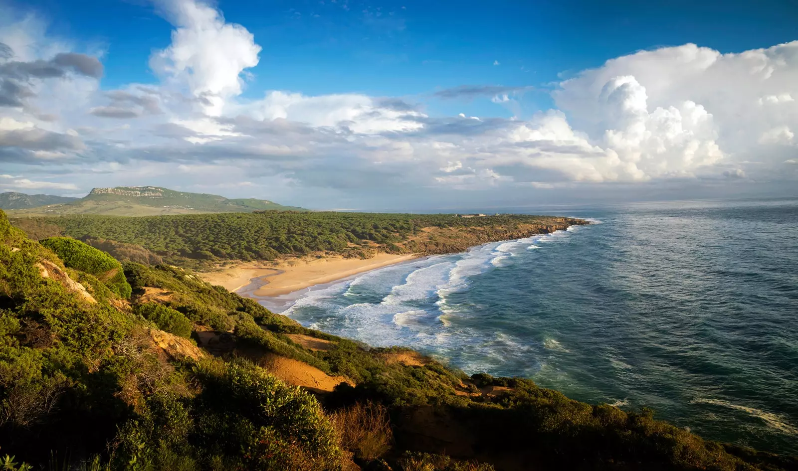 Dans la province de Cadix, il y a une plage pour chaque état d'esprit.