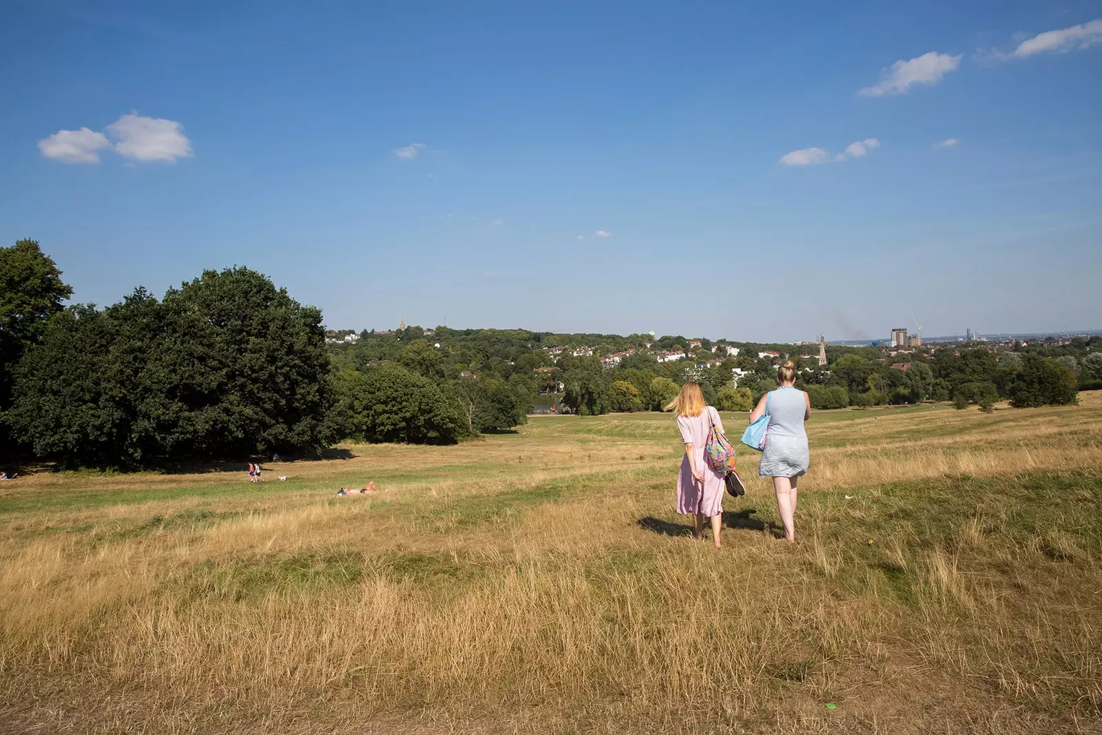 Hampstead Heath