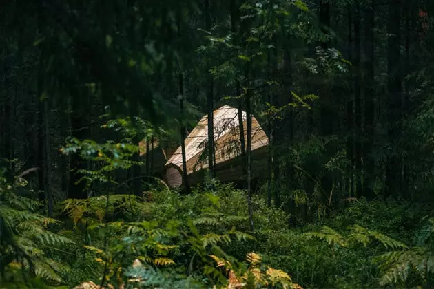 Ode till lugnet i skogen