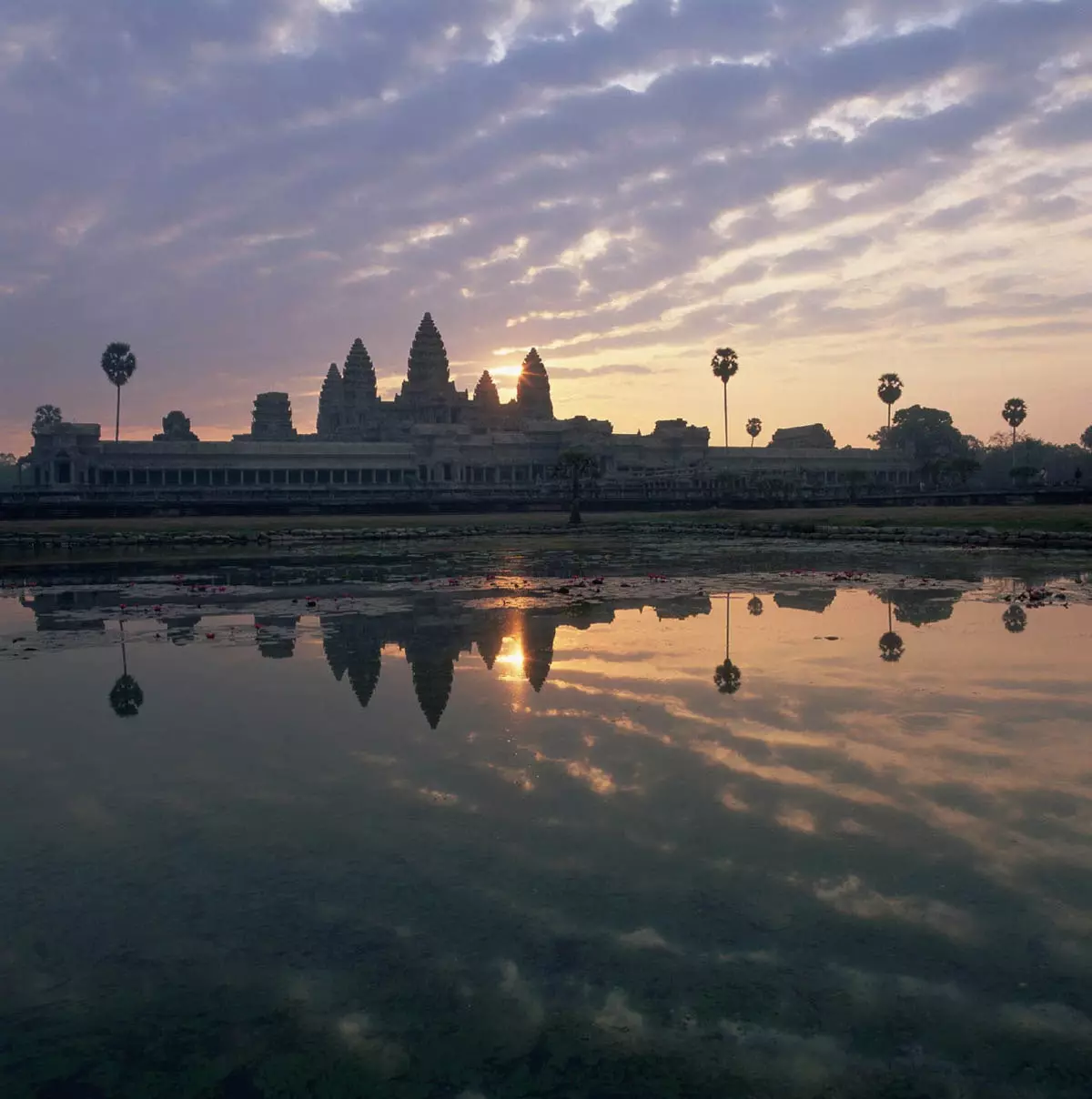 Ei descoperă o rețea uriașă de orașe medievale sub jungla Cambodgiei