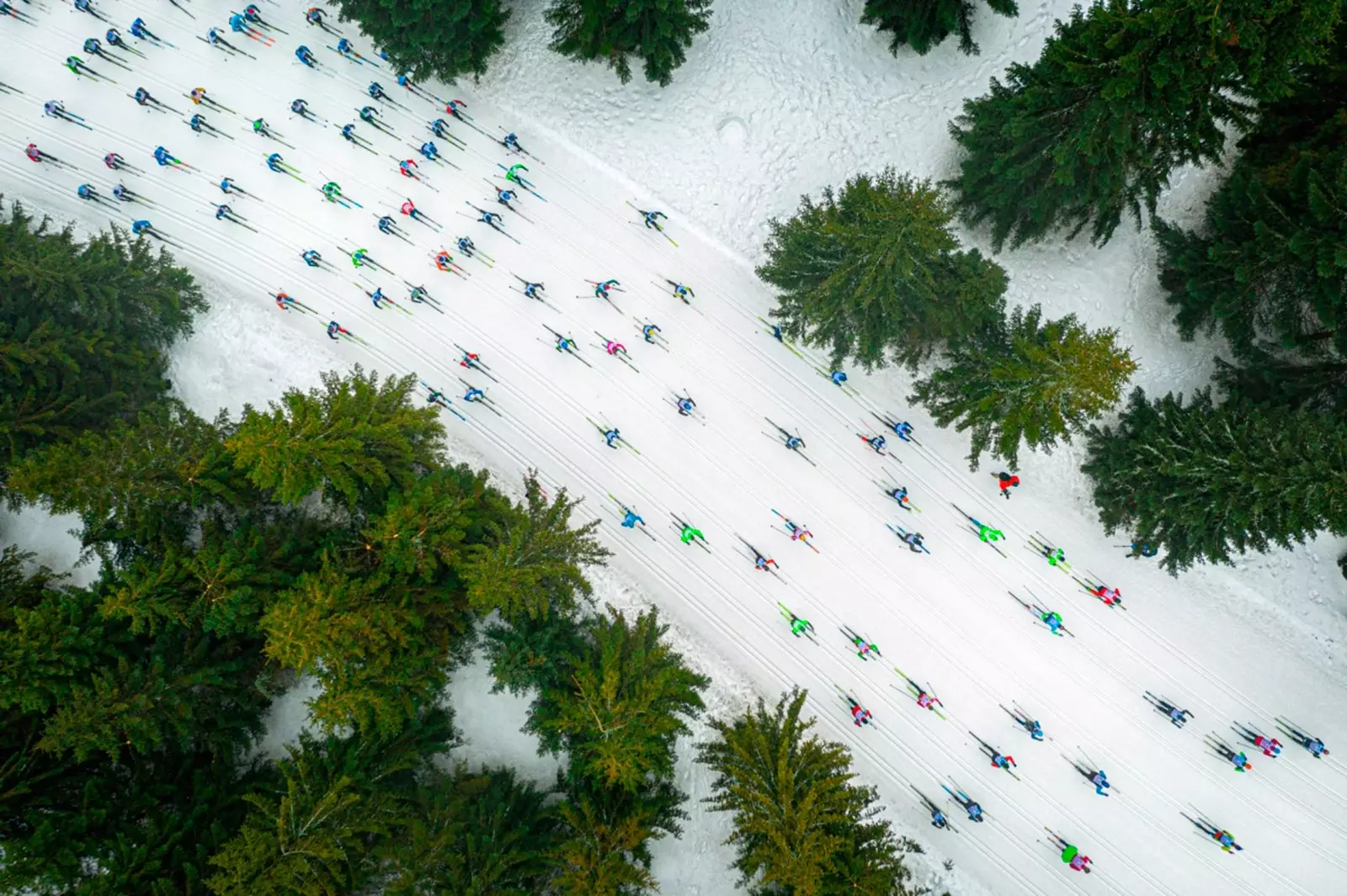 Drone Awards proglasio 'Jato šarenih riba' Jaceka Deneke najboljim fotografom godine