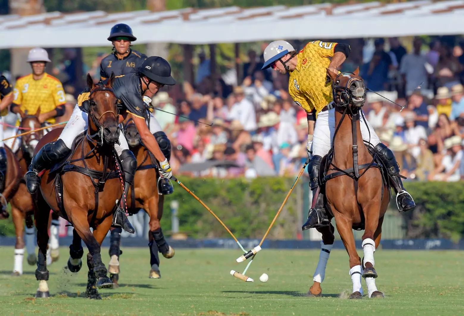 Santa Maria Polo Club