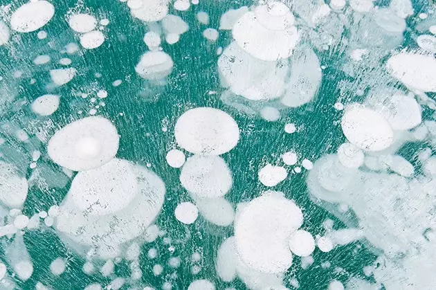 Abraham Lake Bubbles