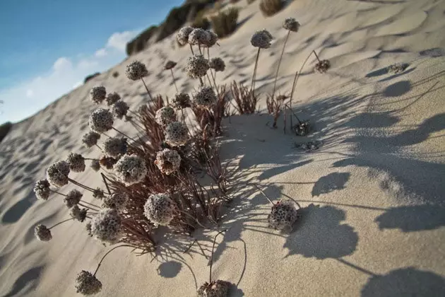 25 beaches in Huelva