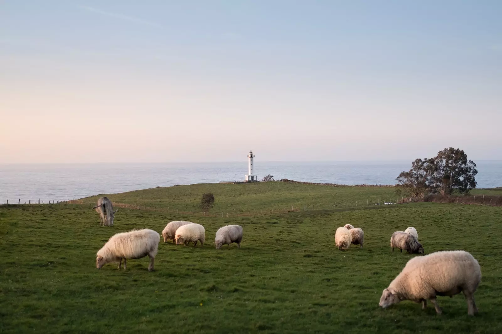 Lighthouse of Lights CoolRooms Palace of Lights Asturias