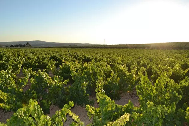 هتل روستایی La Vereda