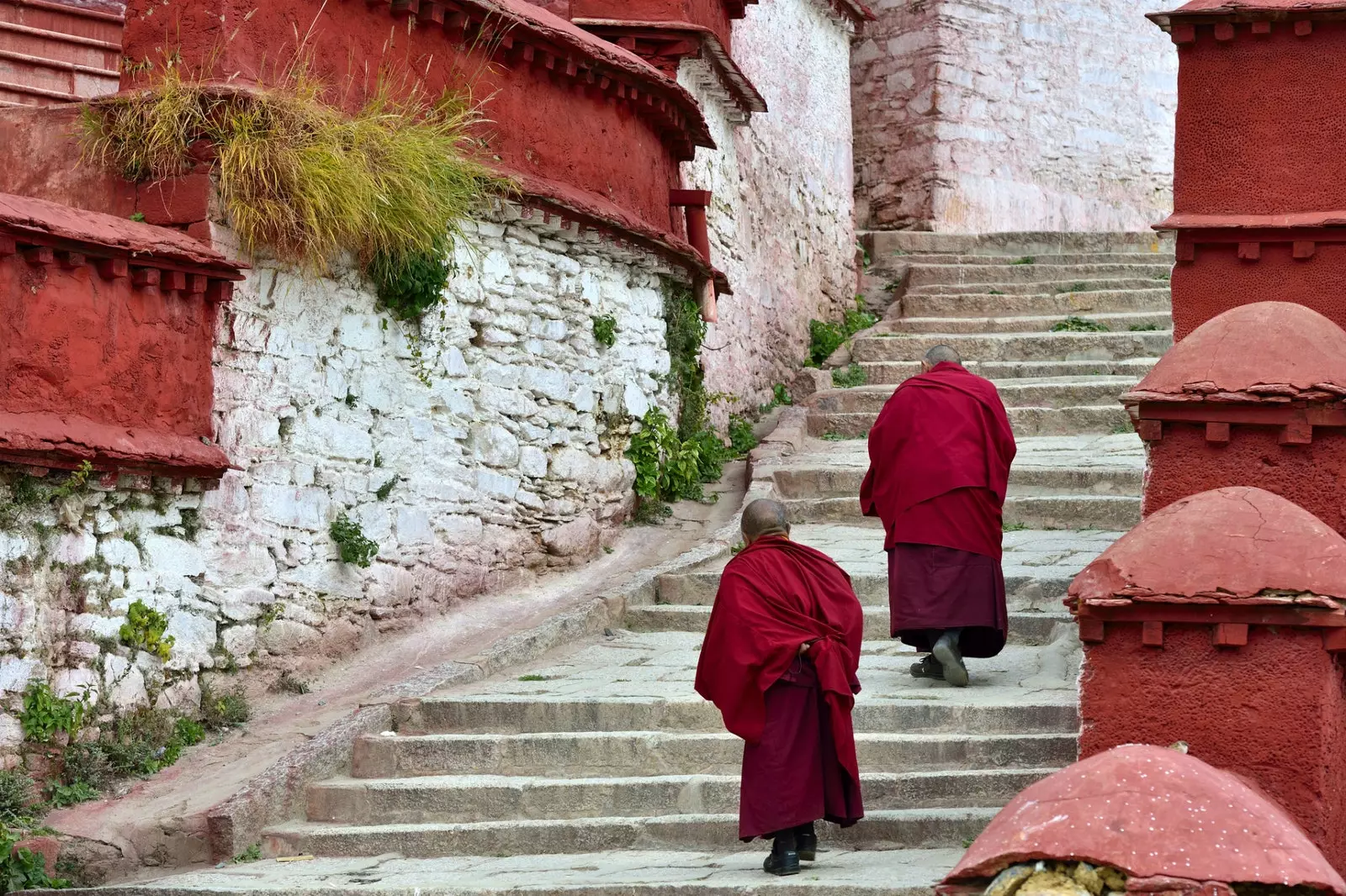 Alexandra DavidNel lärde sig magiska asketiska metoder från buddhistiska munkar.