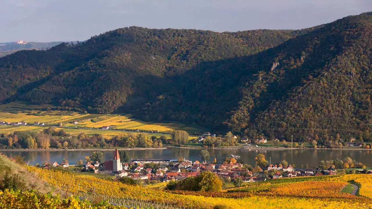 Wachau, kaçıramayacağınız Avusturya şarap bölgesi