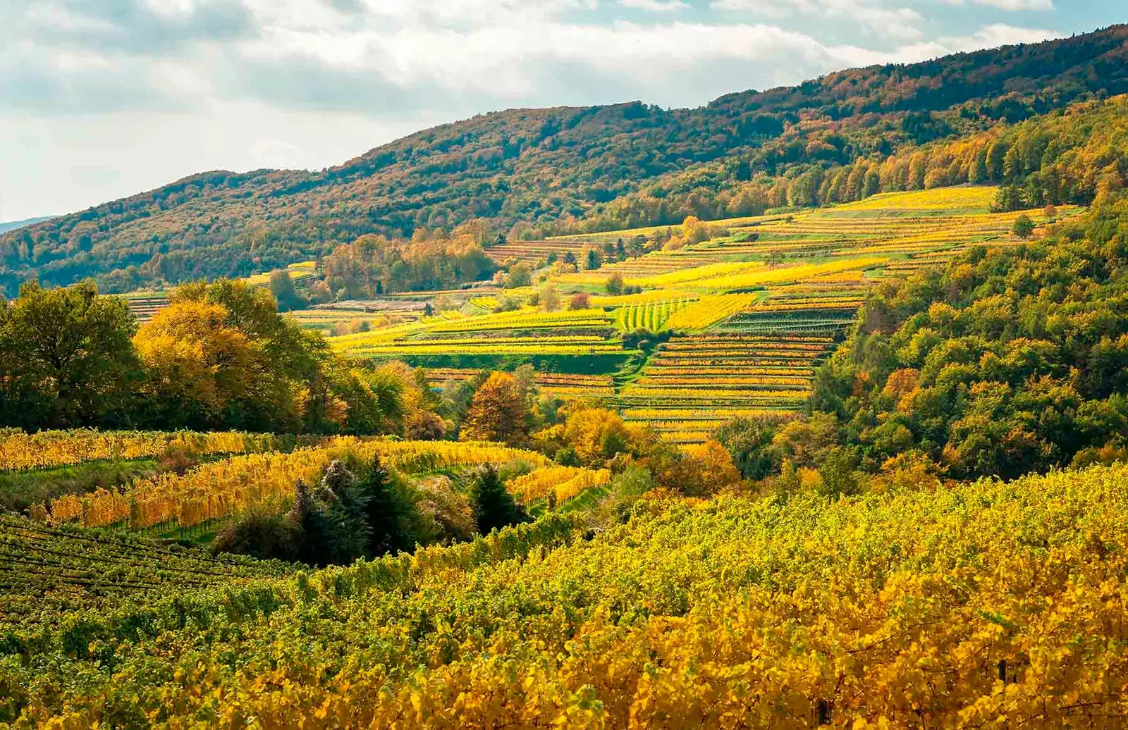 wachau valley