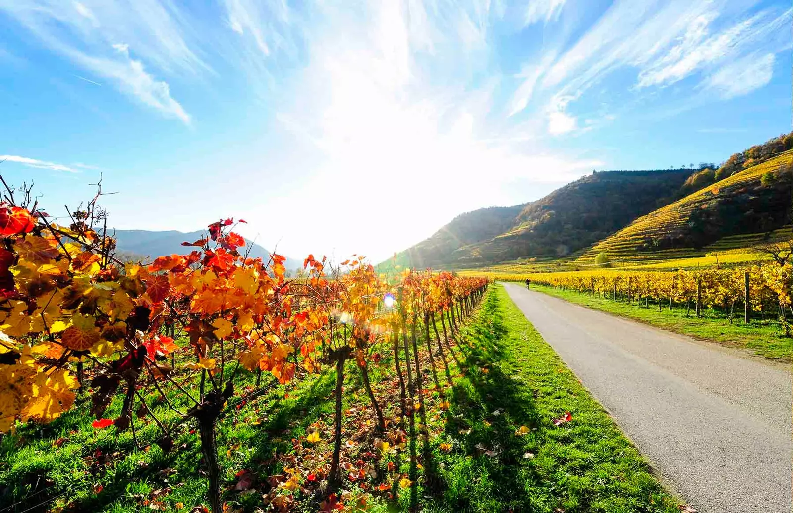 Chegando em Wachau