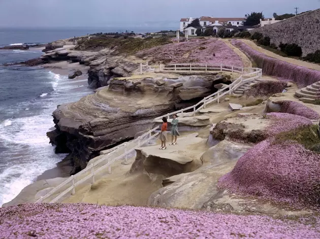 LaJolla-Bucht