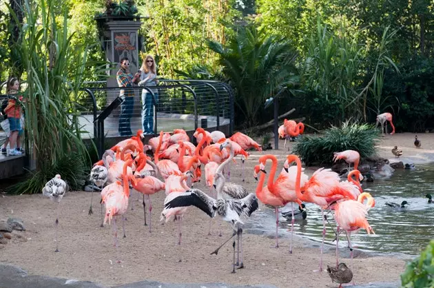 Zoologická záhrada v San Diegu