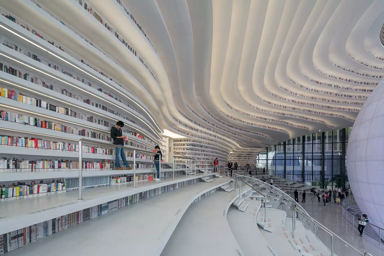 Le librerie della Biblioteca Tianjin Binhai