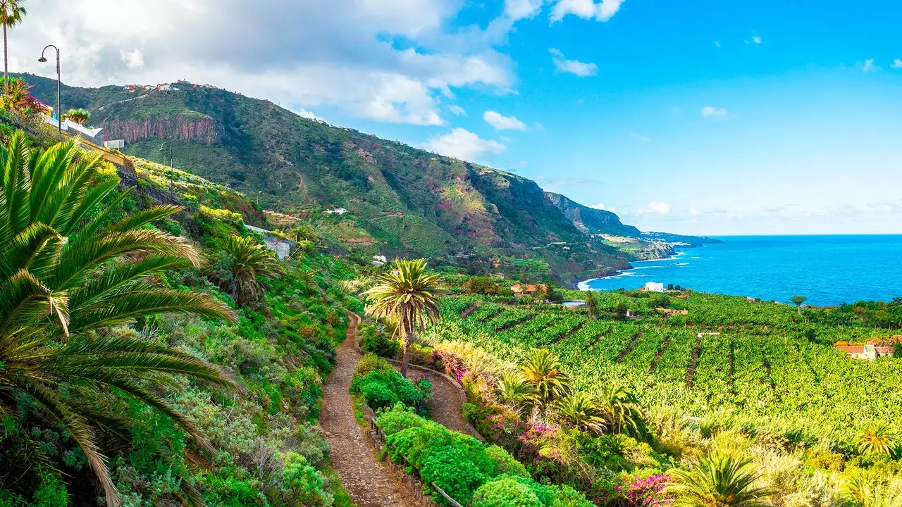 Njia za kutembea huko Tenerife na dip ya dessert