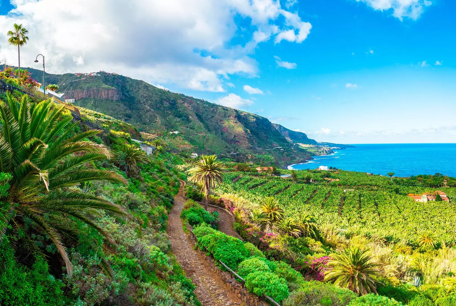 Rambla de Castro Los Realejos Tenerife