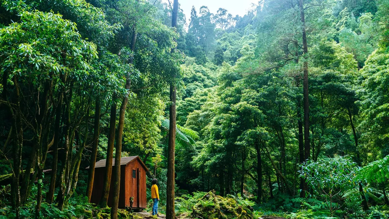 Ich will, dass es mir passiert: Walden in der Sierra de Gredos