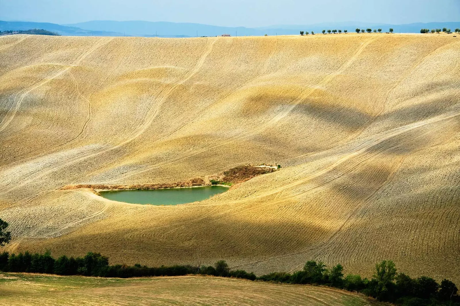 Кріт Сенесі