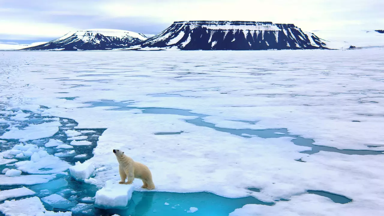 În căutarea celor mai sălbatice aurore boreale: Svalbard, la nord de nord