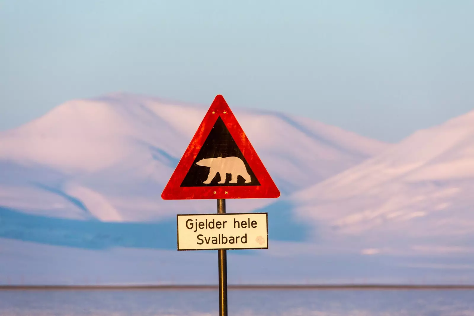 Signe de l'ours polaire à Svalbard