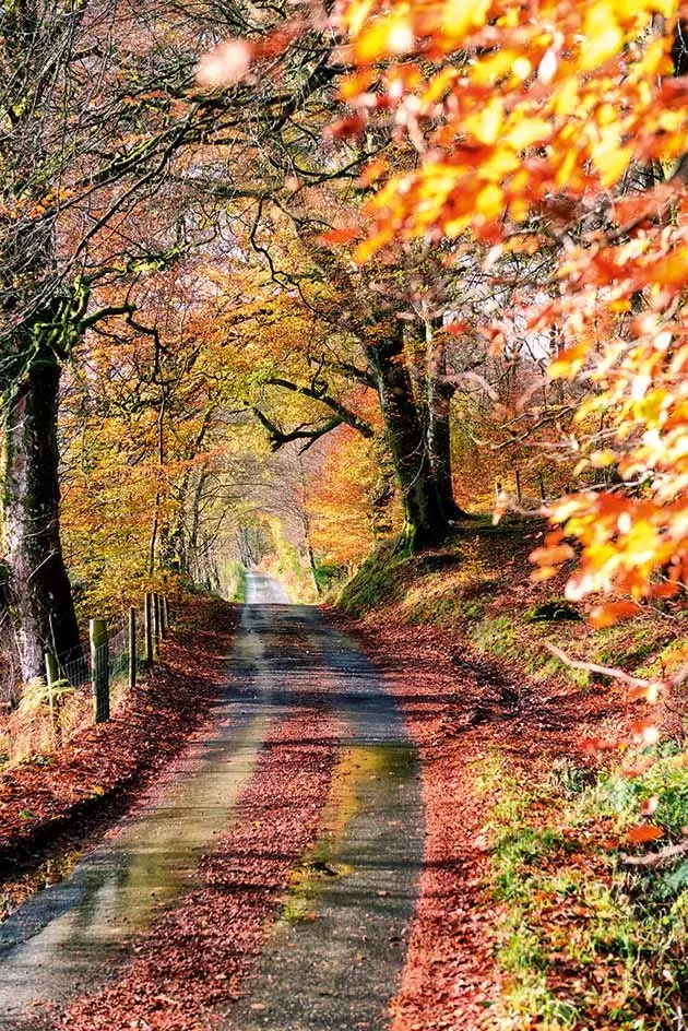 Ճանապարհը Loch Lomond The Trossachs ազգային պարկի մոտ