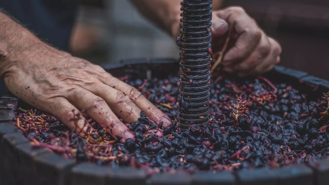 Guide pour ne pas se perdre parmi les vins naturels : tout ce que nous avons appris à Vella Terra