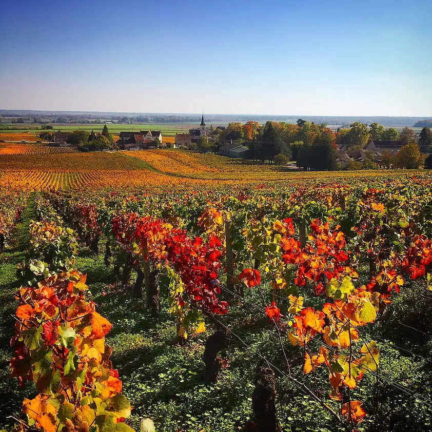 Domaine Antoine Lienhardt