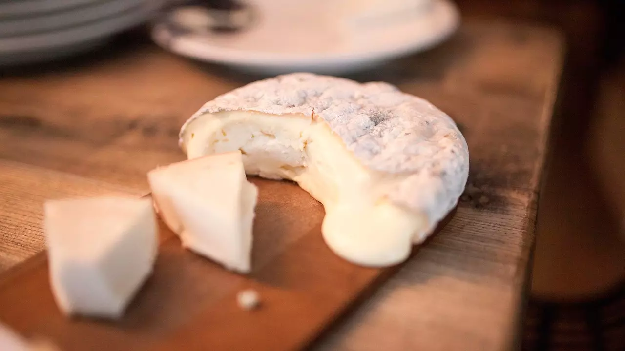 Radiographie des meilleurs fromages d'Espagne