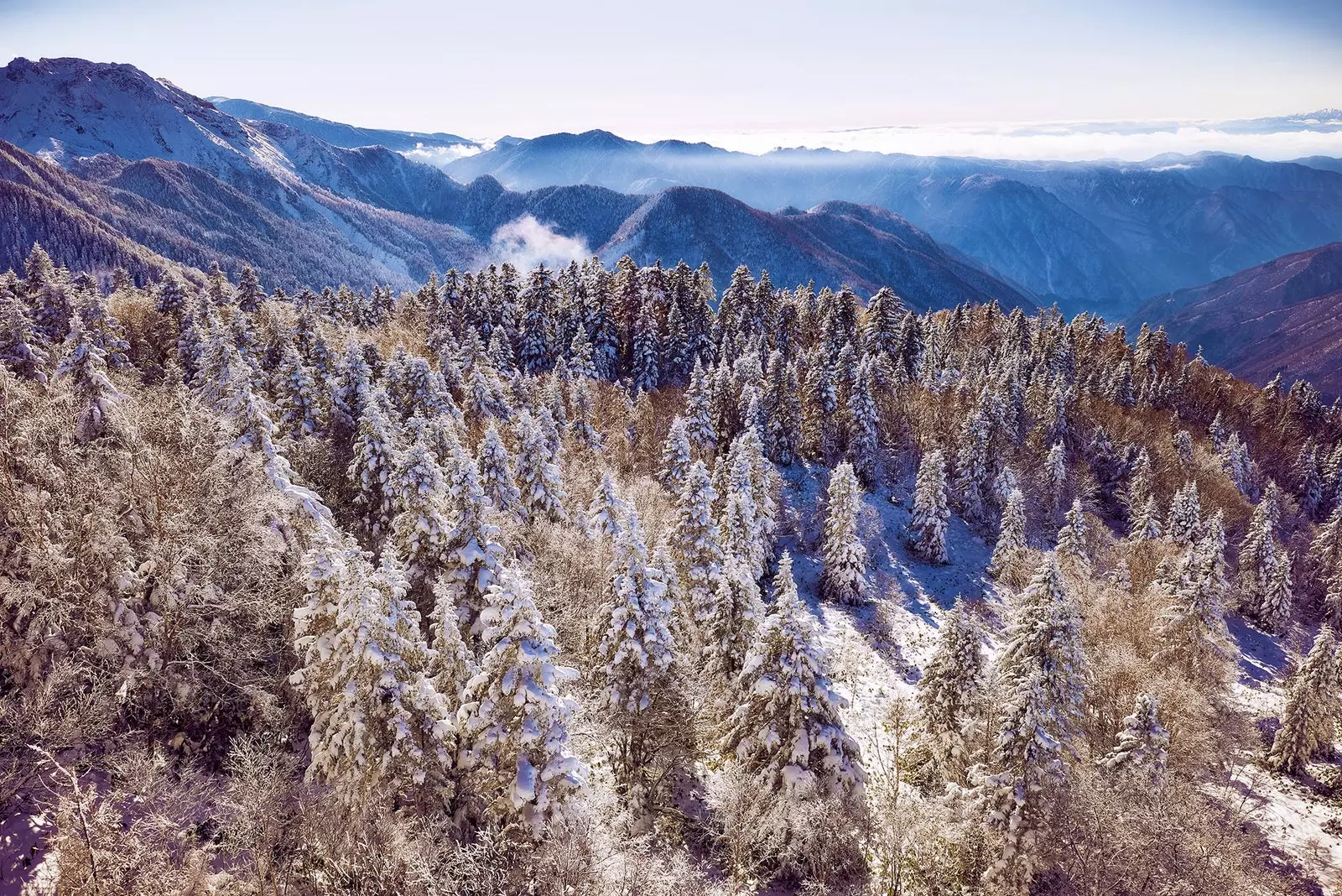 Takayama un viatge al cor dels Alps japonesos