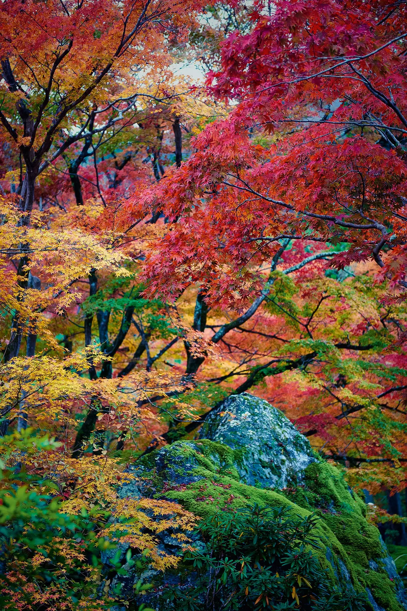 Takayama výlet do srdca japonských Álp