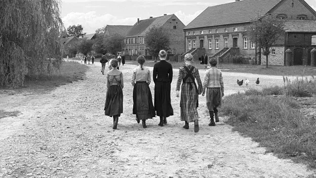 Steder vi aldri vil gå på grunn av Haneke