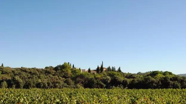 Minervois, il-ġenna parallela għal Carcassonne