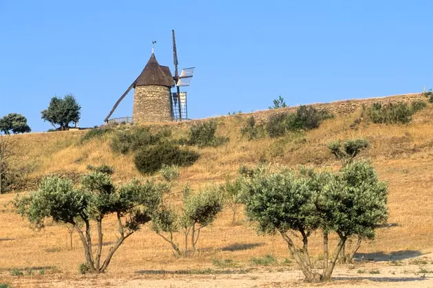 Minervo è il paradiso parallelo a Carcassonne