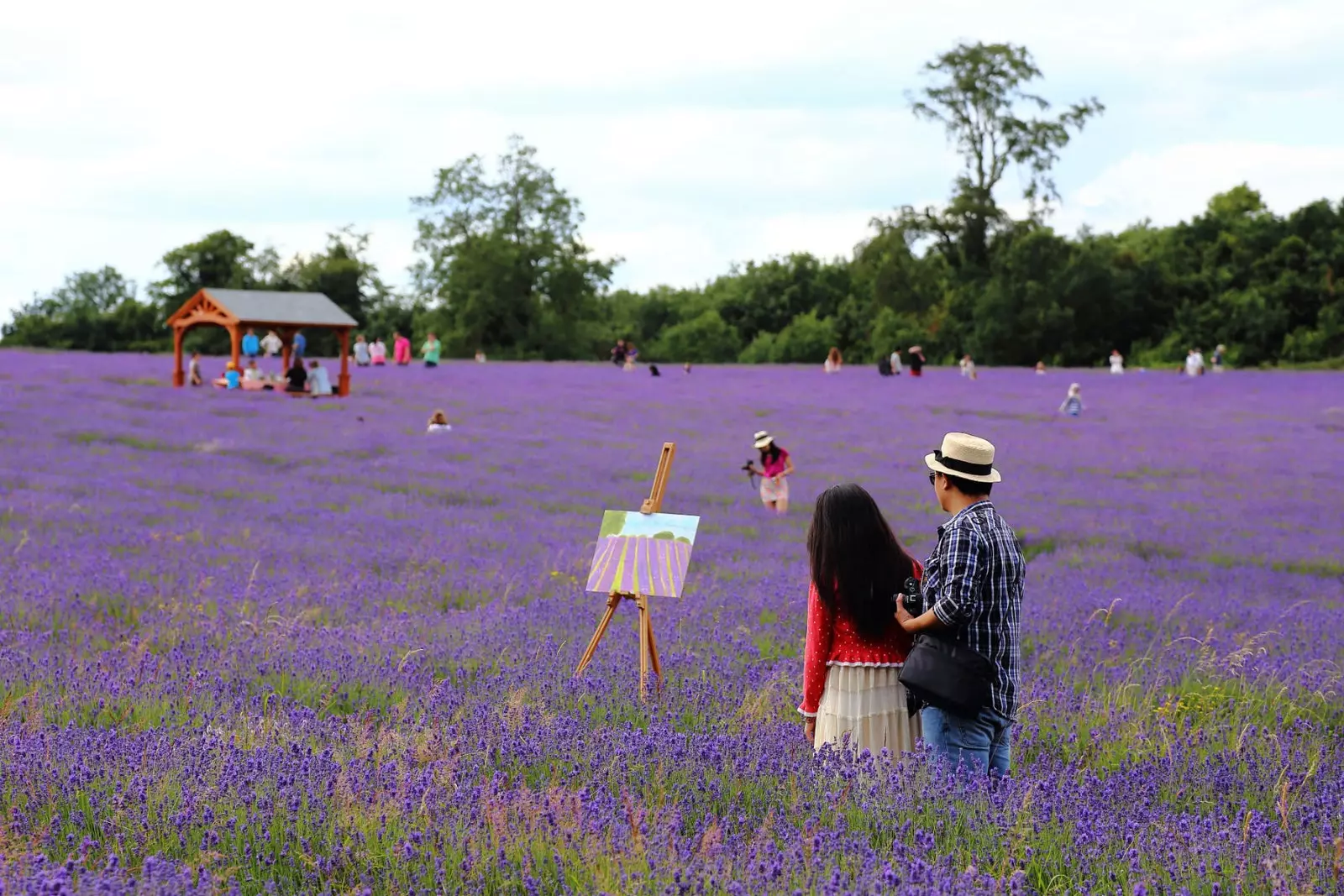 Feirm Lavender Mayfield